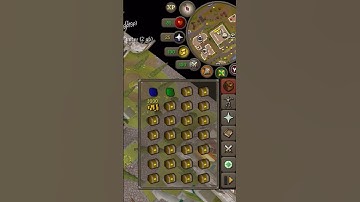 #fyp #gaming #osrs #shorts