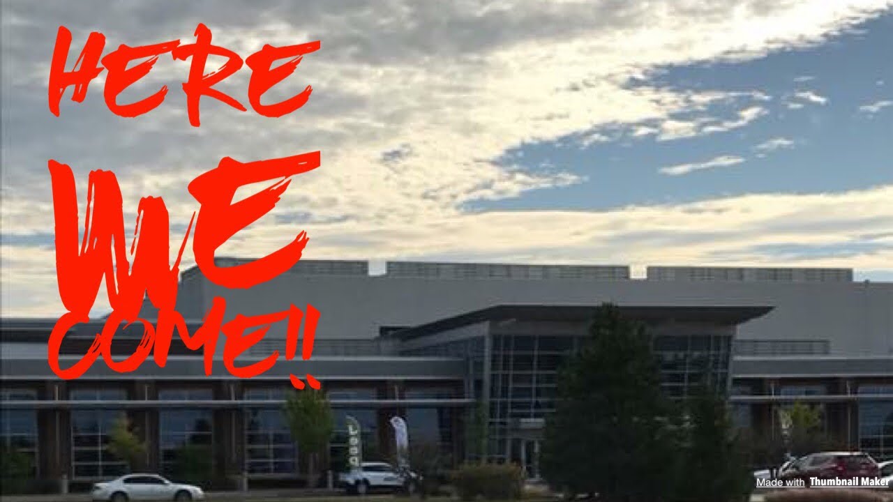 ball python breeders in ohio Making preparations!