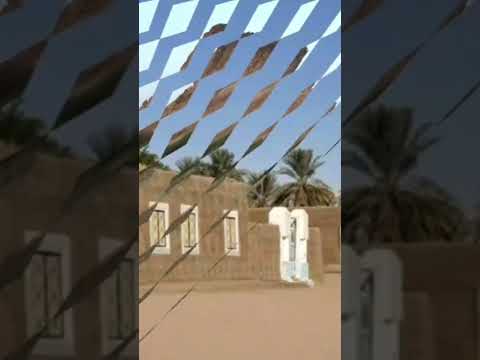 انصاف فتحي ضربت اقول صباح الخير