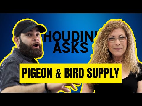 Global Pigeon Products