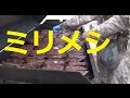 アメリカ軍　ミリメシ Meal