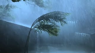 Cozy Bedroom Rainy Night In The Forest | Sound Of Heavy Rain With Thunder While Sleeping