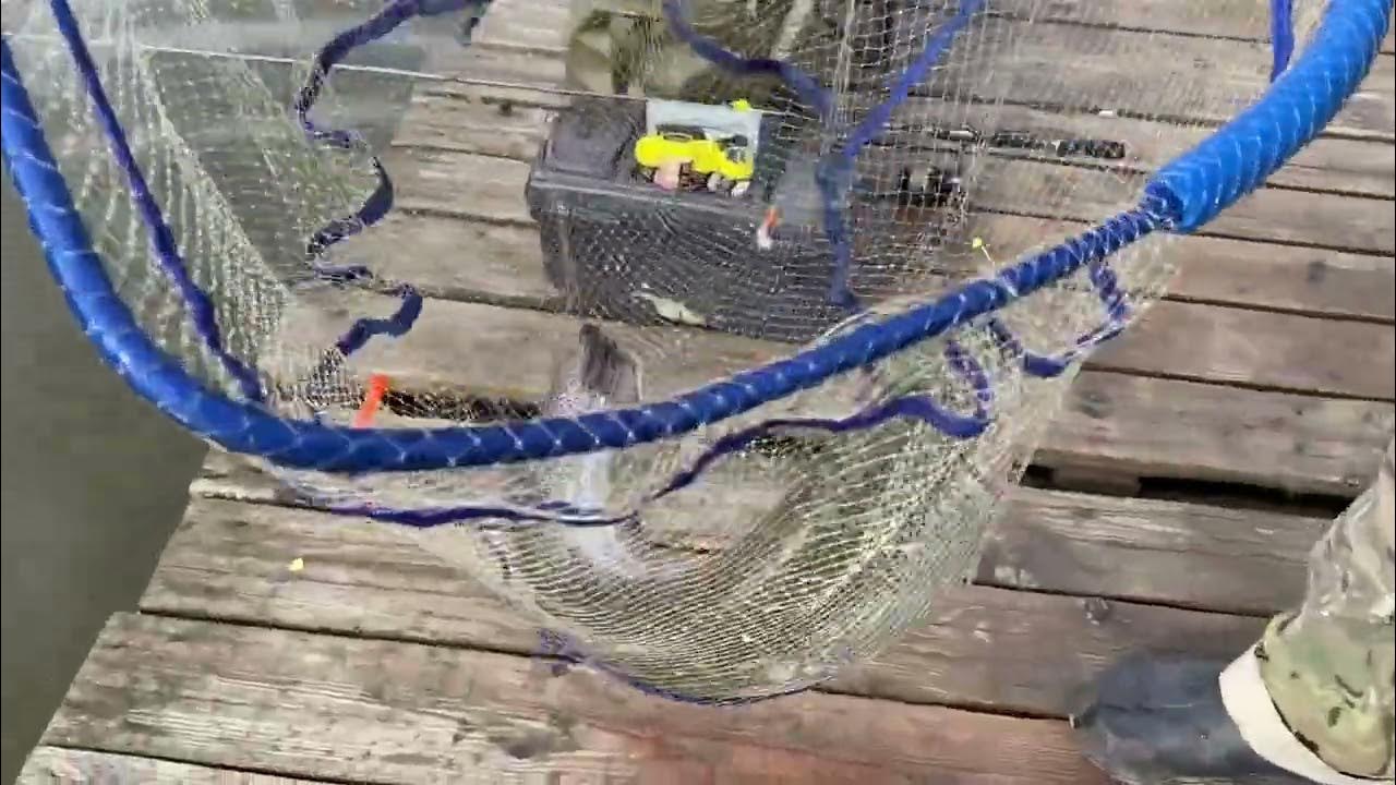 «Немецкий флаг» + джиг и форель на крючке! - YouTube