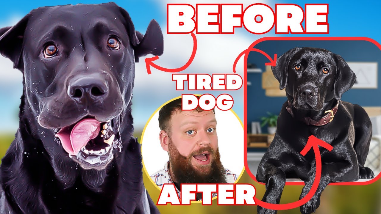 How To Tire Out Your Dog With 3 Easy Steps YouTube