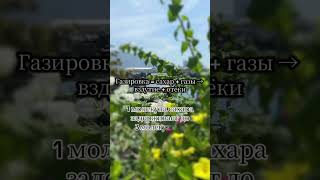 Исключите эти продукты из рациона #отеки #нутрицолог #лишнийвес #edema #nutrition