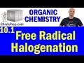 Free Radical Halogenation Quiz