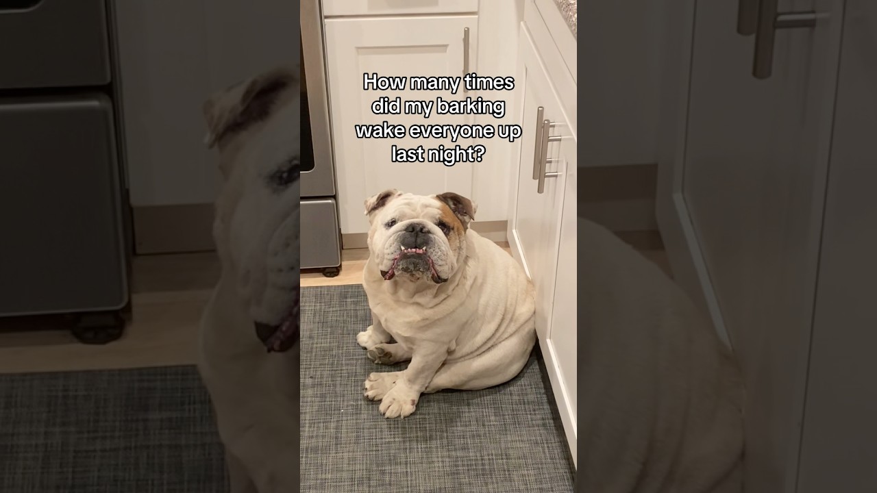 Coco’s had enough 😅 