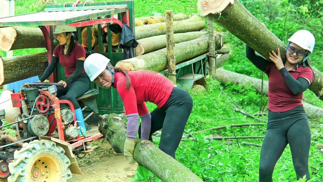 Agricultural vehicles.Collecting timber from the steep hills is extremely difficult,help villagers.