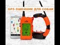 Обзор Gps ошейника X30T от DOGGPS