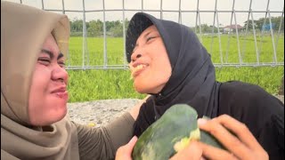 Download Lagu MBAK JES BAR DI WEDENI CICAK DI SEMBUR LINDA - E mbohh mbak sabar yooo 😭🤯🤣😂 MP3 Download Lagu MBAK JES BAR DI WEDENI CICAK DI SEMBUR LINDA - E mbohh mbak sabar yooo 😭🤯🤣😂 MP3