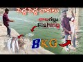 పెద్ద పెద్ద చేపలు పట్టాం | 8KG Monster Fish Catch | Vallagallu Fishing Telugu