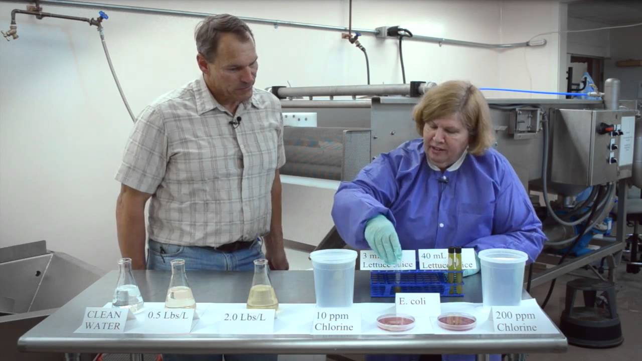 Chlorine Interaction in Wash Water YouTube