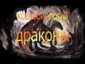 Классификация и анатомия Драконов | Виверн | Змеев