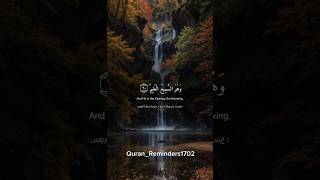 quran quranic qurantranslation quranrecitation qurantilawat quranverses quranquotes quranpak