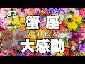 始まったことが想定外の大安定をもたらしますよ！蟹座さん💐✨もうすぐ起こる大感動
