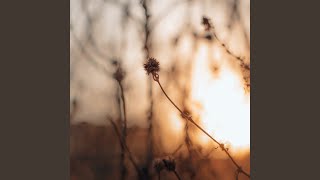 Download Lagu Hard of Me (Lofi) MP3 Download Lagu Hard of Me (Lofi) MP3