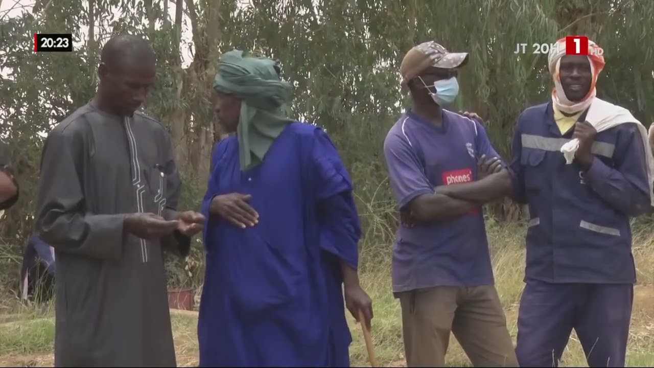 CULTURE DU BLÉ AU SÉNÉGAL | Une réalité à Fanaye