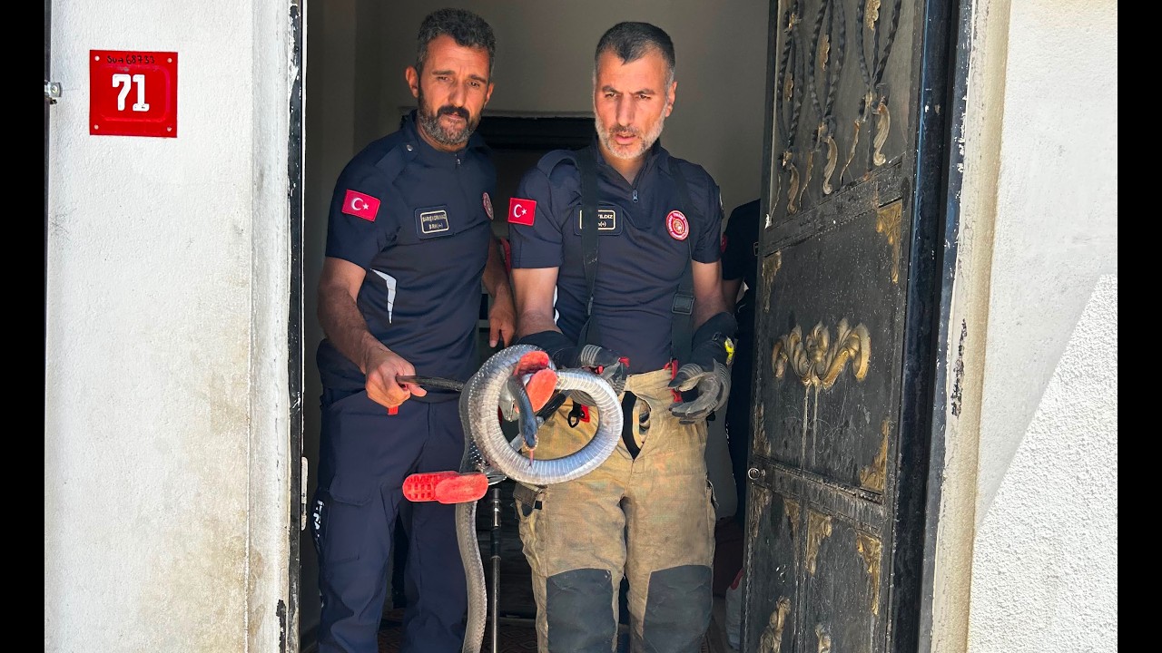 Adıyaman’da evde yılan paniği