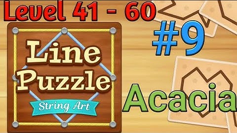 Line Puzzle: String Art [Level 41-60] [Acacia]