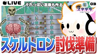 【Terraria/3日目】スケルトロン討伐のために目玉と脳周回したり拠点整備したり【ステテラ】