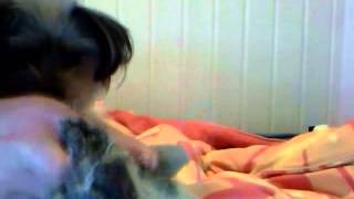 Capture 20120425 1