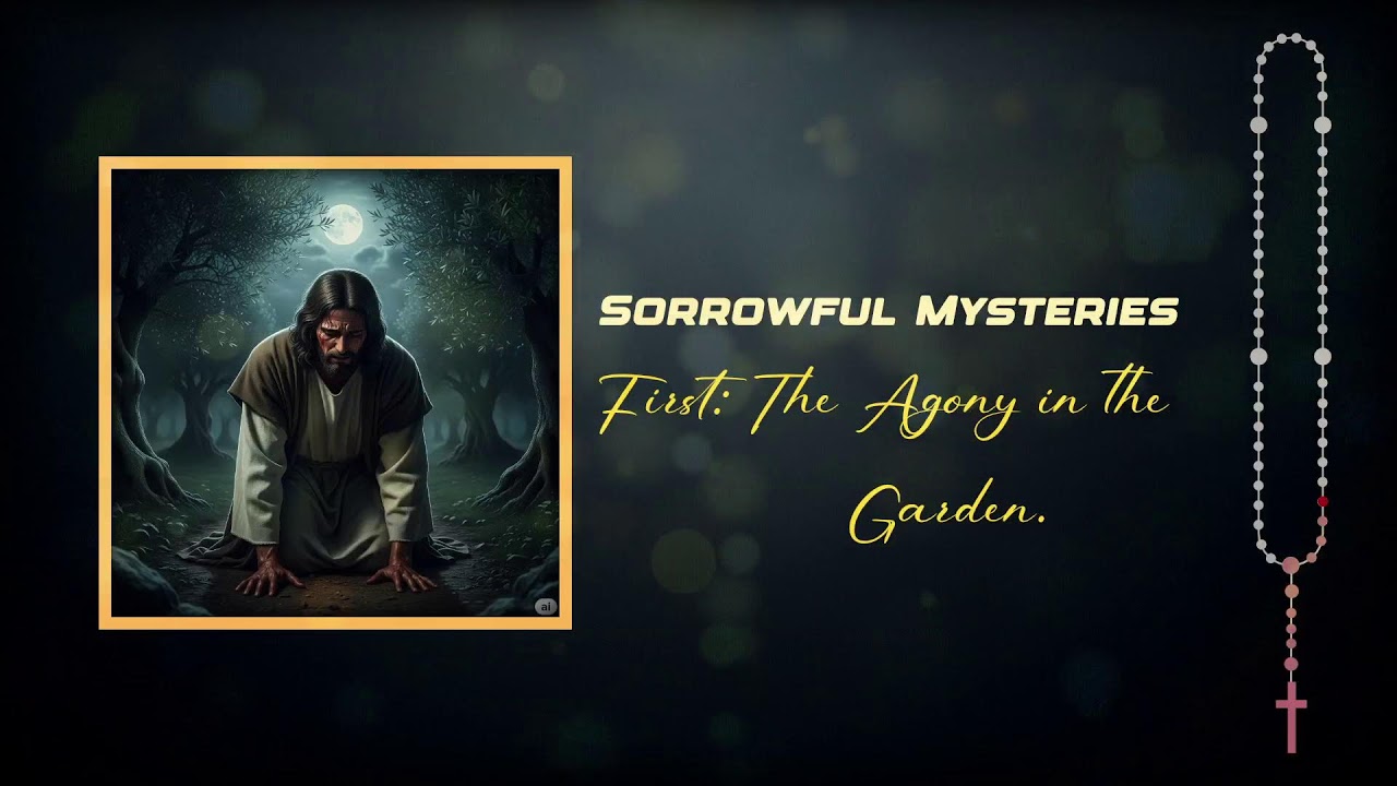 1st March 2026 (A)- Todays Rosary - Joyful, Sorrowful, Luminous & Glorious Mysteries