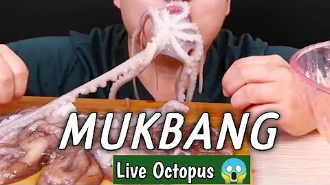 EATING ALIVE OCTOPUS!! / ASMR MOST POPULAR RAW SEAFOOD! / MUKBANG