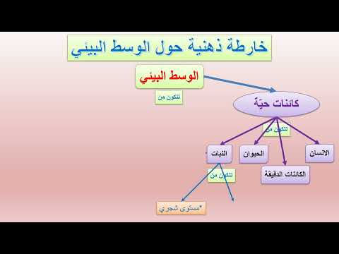 خارطة ذهنية حول الوسط البيئي من إعداد المربي الجيلاني بنمسعود