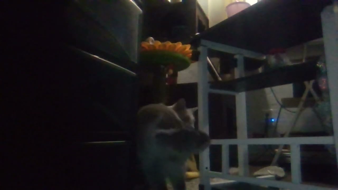 Let the Healing Begin Call to the HUMAN RACE /US Gov'T owe us a contract & OUR KIDS BACK, NO SHORTs!