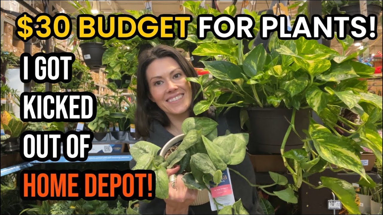 БЮДЖЕТ 30 ДОЛЛАРОВ на растения и вышвырнуть из Home Depot! Большой выбор растений в Lowe's