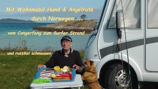 Mit Wohnmobil, Hund und Angelrute durch Norwegen