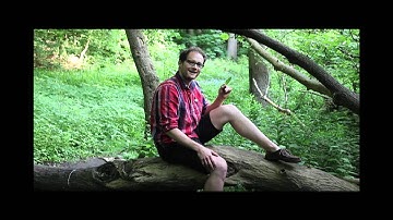 Art of Mentoring Video Contest