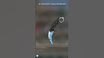 Most expensive CSGO Item! (Declined 1.2 Million € offer!) #csgo #insane #expensive #crazy #cs2