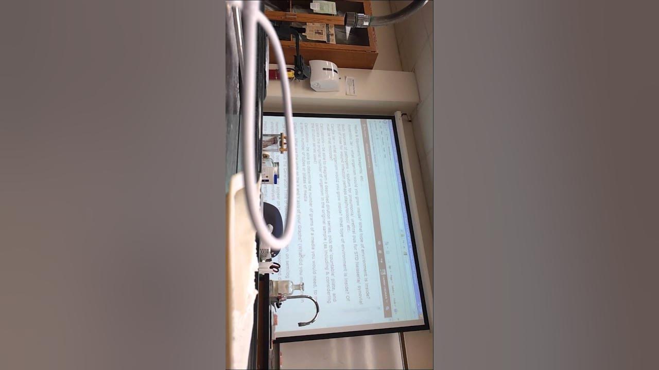 Microbiology Lab Midterm Review, Pt.1 YouTube