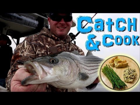 How To Cook Striped Bass!! Easy Recipe (Striper, Rockfish)
