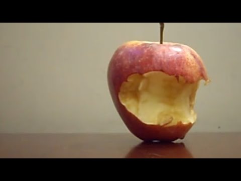 Timelapse : Apple rotting over one hour - YouTube