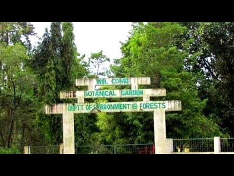 Tezu ,Arunachal Pradesh,North East - YouTube