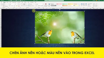Chèn Ảnh Nền Hoặc Màu Nền Vào Trong Excel