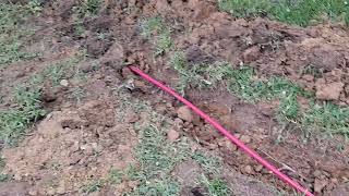 Forest hill water line replacement