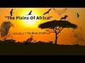 Teaser for the second episode of "The Plains Of Africa!" [TESTING A - Roblox]
