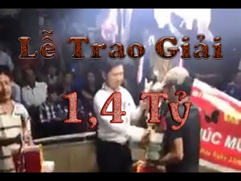 Video Trao Giải Gà Cựa Sắt trị giá 1,4 tỷ cho Anh 3 Cọp - youtube