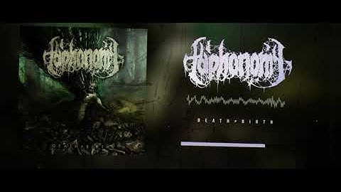 taphonomy - DEATH≠BIRTH (single 2020)