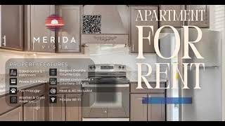 Luxury Living for Less! ✨ Merida Vista Apartments Tour (Laredo, TX) 2 BR / 1 BA
