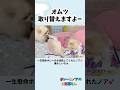 【兄犬の介護】オムツ替え