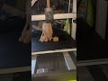 E.t