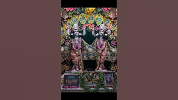 #Mangala Darshan #Iskcon vrindavan 17.10.2025 #mayapur #krishna #radhakrishna #radha #shyam #shorts
