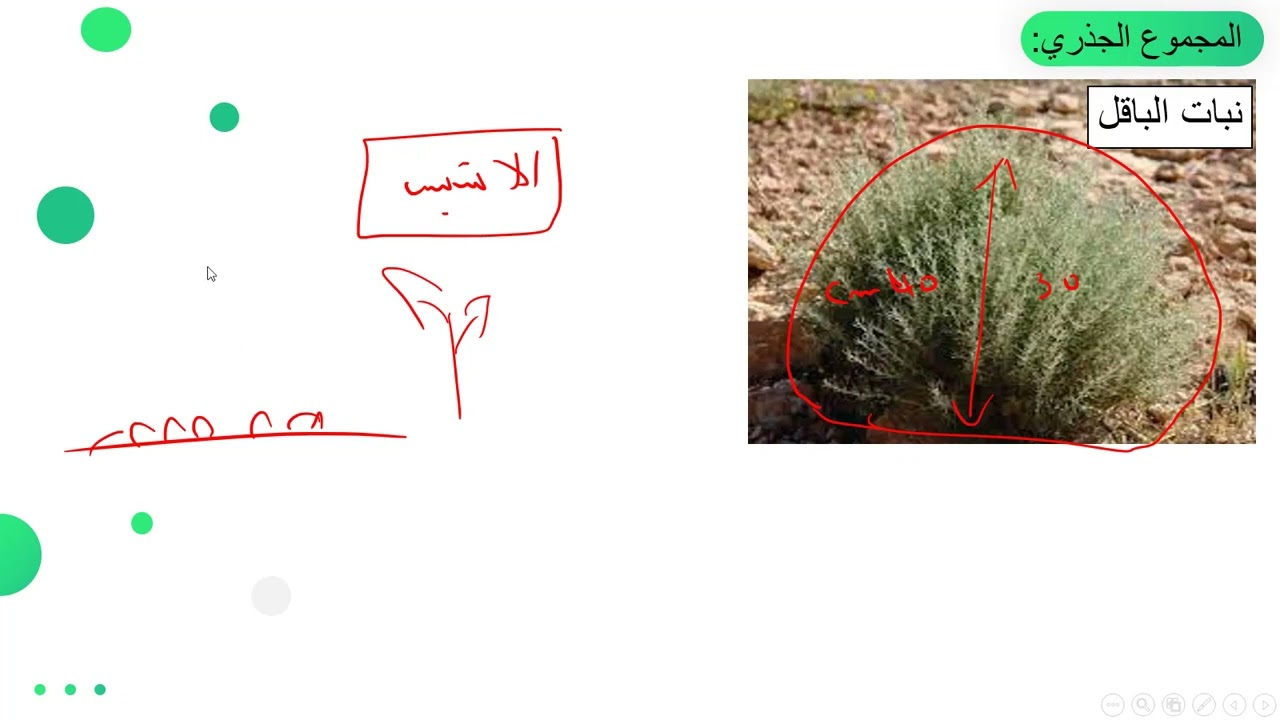 دروس جديدة الثانية متوسط