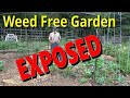 Weed free garden exposed 692023