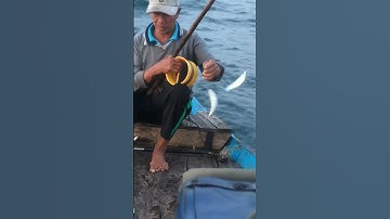 #51 nghề câu cá nục trên biển #shorts