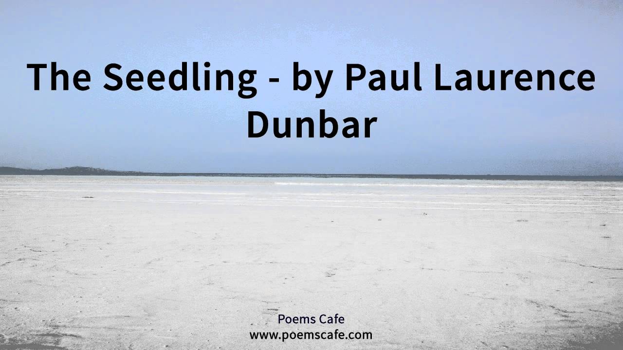 The Seedling   by Paul Laurence Dunbar